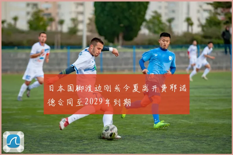 日本国脚渡边刚或今夏离开费耶诺德合同至2029年到期