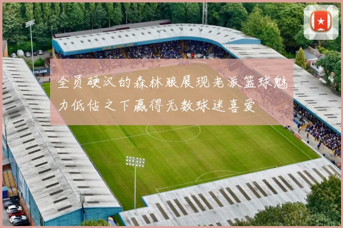 全员硬汉的森林狼展现老派篮球魅力低估之下赢得无数球迷喜爱